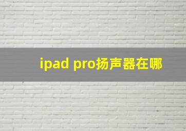 ipad pro扬声器在哪